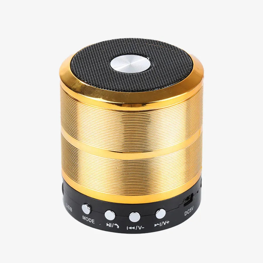 H'Maston WS887 Caixa Bluetooth com Rádio FM - Eleadermall