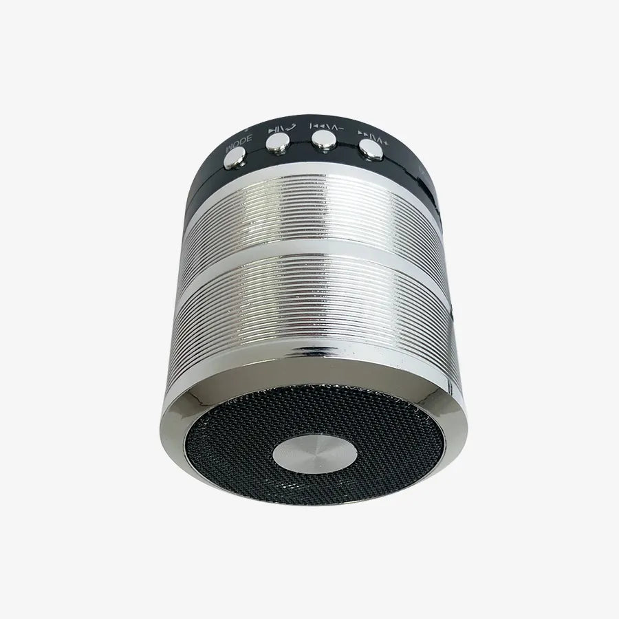 H'Maston WS887 Caixa Bluetooth com Rádio FM - Eleadermall