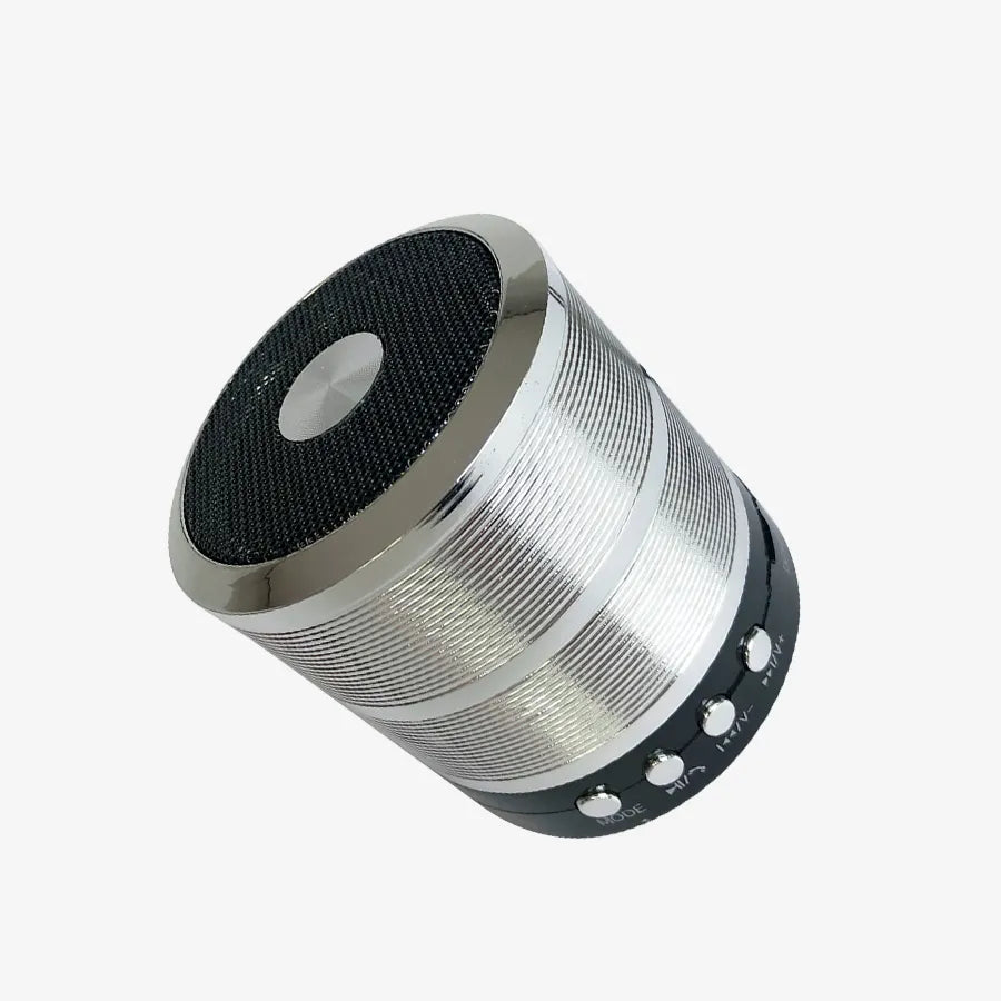 H'Maston WS887 Caixa Bluetooth com Rádio FM - Eleadermall