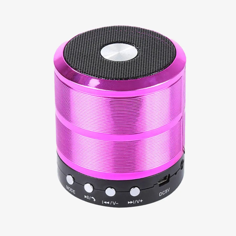 H'Maston WS887 Caixa Bluetooth com Rádio FM - Eleadermall